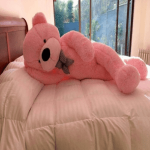 דובי שוכב על מיטה